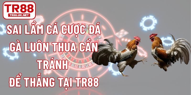 Sai Lầm Cá Cược Đá Gà Luôn Thua Cần Tránh Để Thắng Tại TR88